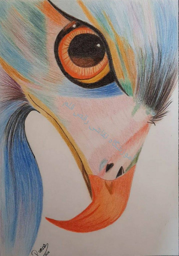 حسام ۱۵ ساله