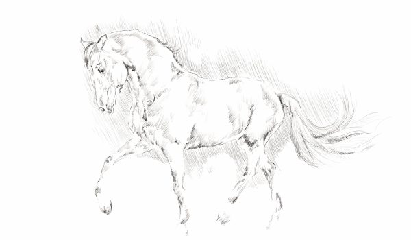 illustration 2016288 1920